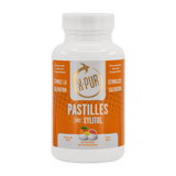 X-PUR Pastilles 100% Xylitol (Fruit - Large bottles)